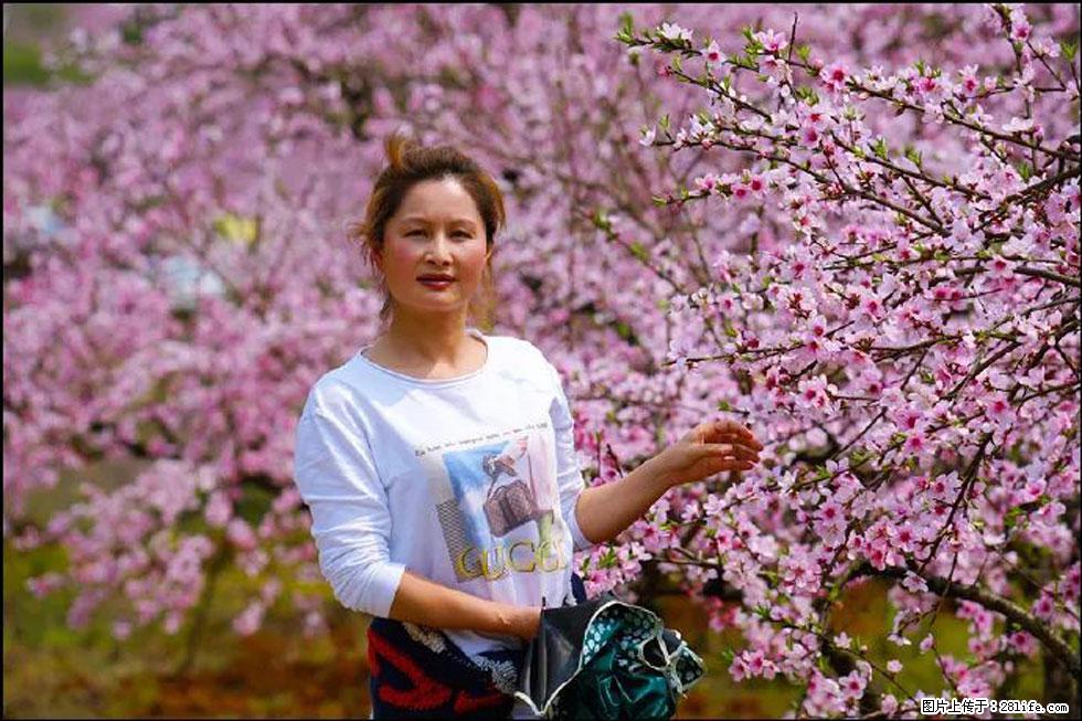 【春天，广西桂林灌阳县向您发出邀请！】官庄村有个醉美的桃花园 - 游山玩水 - 禹州生活社区 - 禹州28生活网 yuzhou.28life.com