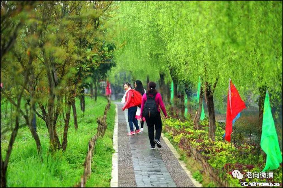 【春天，广西桂林灌阳县向您发出邀请！】江口老街又逢春 - 游山玩水 - 禹州生活社区 - 禹州28生活网 yuzhou.28life.com