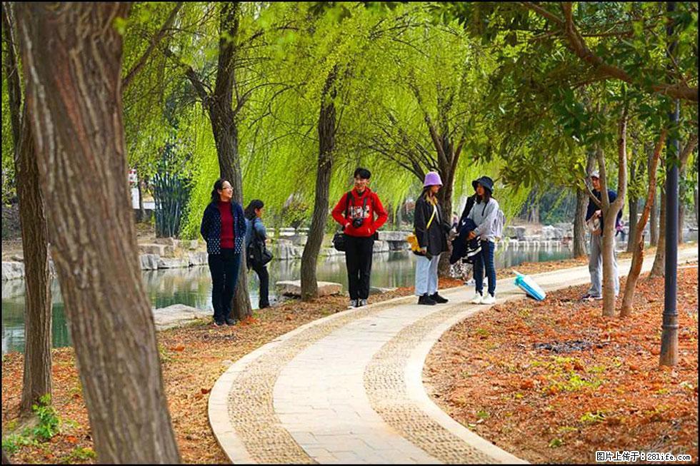 【春天，广西桂林灌阳县向您发出邀请！】江口老街又逢春 - 游山玩水 - 禹州生活社区 - 禹州28生活网 yuzhou.28life.com