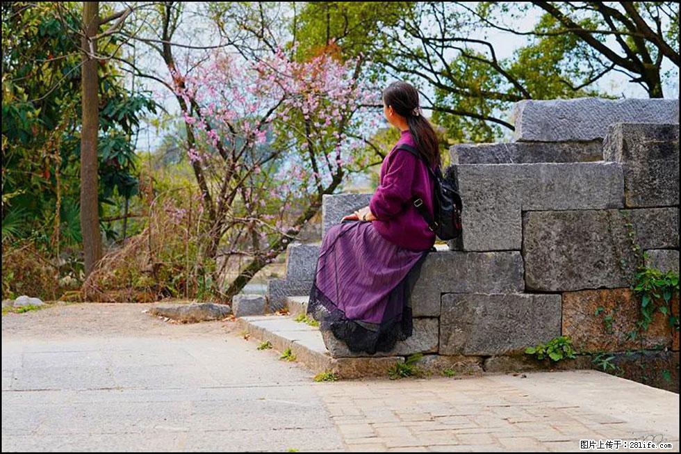 【春天，广西桂林灌阳县向您发出邀请！】江口老街又逢春 - 游山玩水 - 禹州生活社区 - 禹州28生活网 yuzhou.28life.com