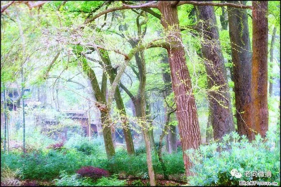 【春天,广西桂林灌阳县向您发出邀请!】在小龙村与春天约会 - 游山玩水 - 禹州生活社区 - 禹州28生活网 yuzhou.28life.com