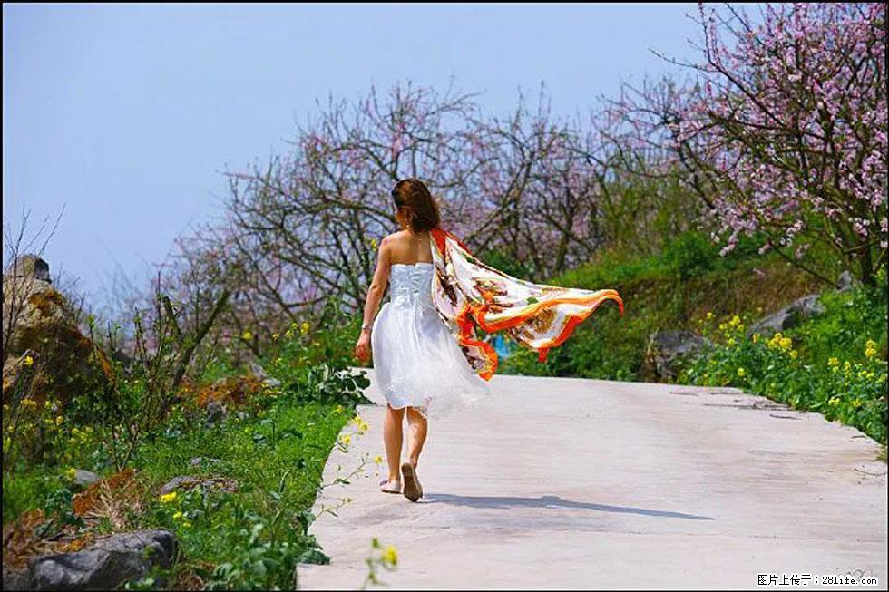 【春天，广西桂林灌阳县向您发出邀请！】望月岭上桃花开 - 游山玩水 - 禹州生活社区 - 禹州28生活网 yuzhou.28life.com