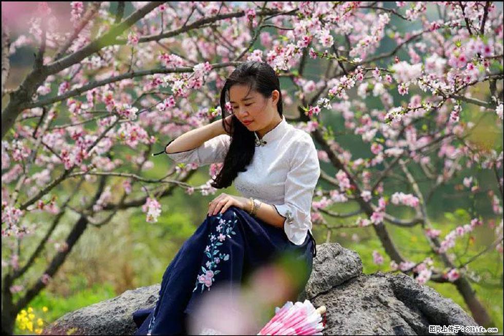 【春天，广西桂林灌阳县向您发出邀请！】望月岭上桃花开 - 游山玩水 - 禹州生活社区 - 禹州28生活网 yuzhou.28life.com