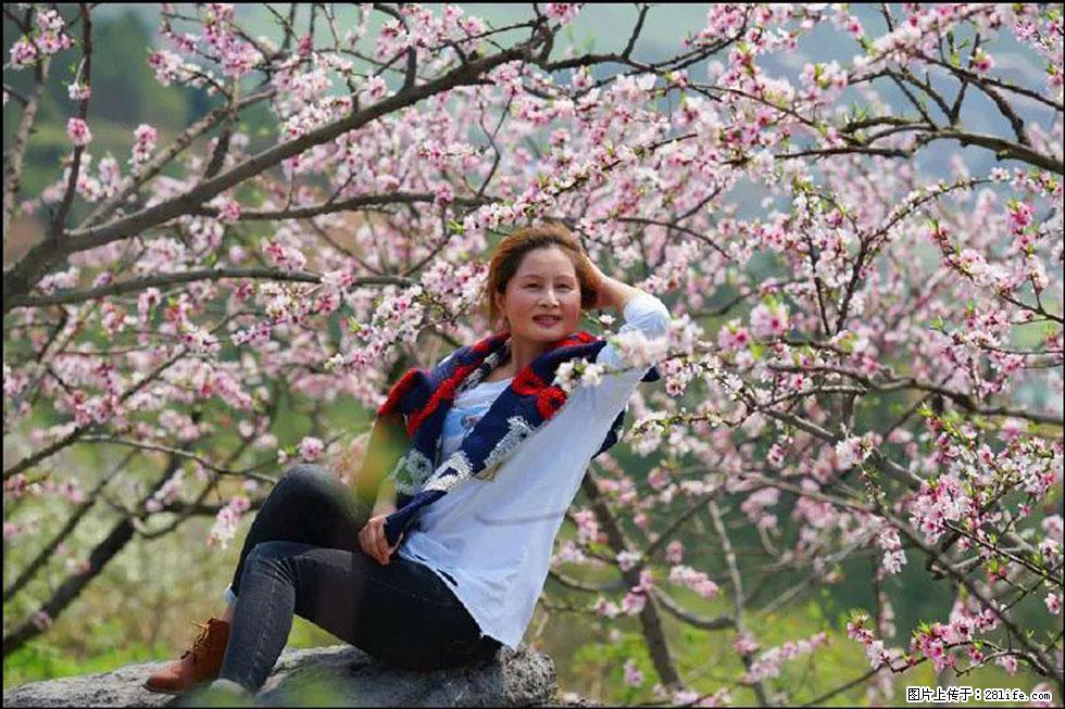 【春天，广西桂林灌阳县向您发出邀请！】望月岭上桃花开 - 游山玩水 - 禹州生活社区 - 禹州28生活网 yuzhou.28life.com