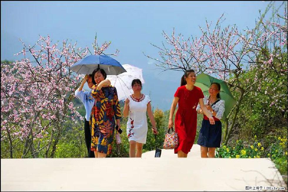 【春天，广西桂林灌阳县向您发出邀请！】望月岭上桃花开 - 游山玩水 - 禹州生活社区 - 禹州28生活网 yuzhou.28life.com