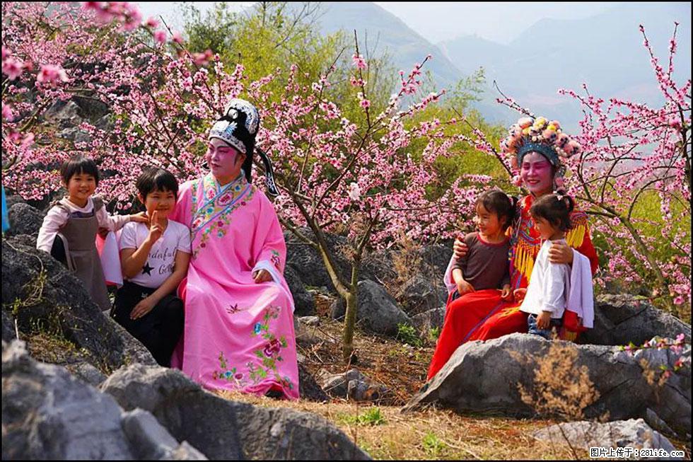 【春天，广西桂林灌阳县向您发出邀请！】望月岭上桃花开 - 游山玩水 - 禹州生活社区 - 禹州28生活网 yuzhou.28life.com
