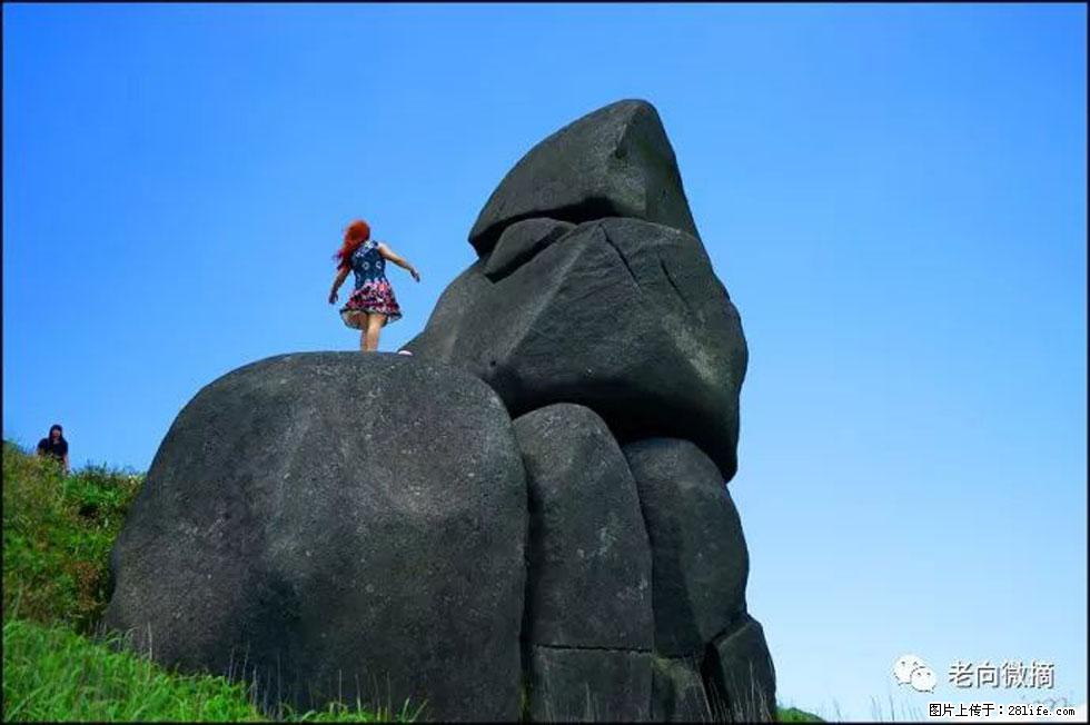 【春天,广西桂林灌阳县向您发出邀请!】宝盖山上映山红 - 游山玩水 - 禹州生活社区 - 禹州28生活网 yuzhou.28life.com