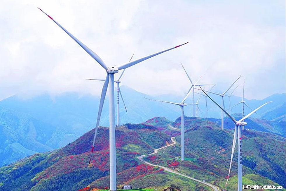 【春天,广西桂林灌阳县向您发出邀请!】春木界上映山红 - 游山玩水 - 禹州生活社区 - 禹州28生活网 yuzhou.28life.com