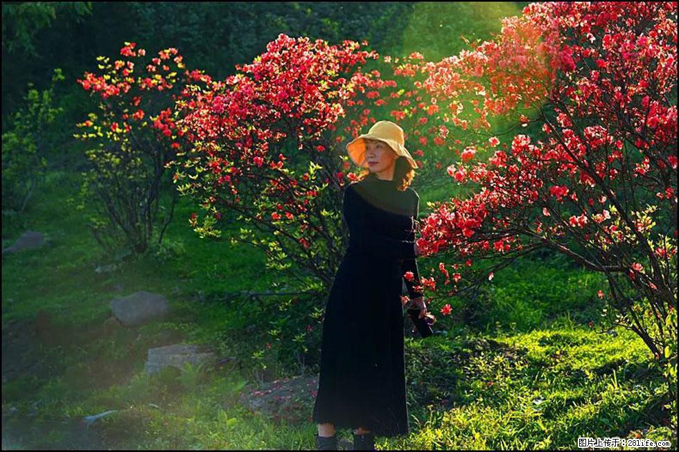 【春天,广西桂林灌阳县向您发出邀请!】春木界上映山红 - 游山玩水 - 禹州生活社区 - 禹州28生活网 yuzhou.28life.com