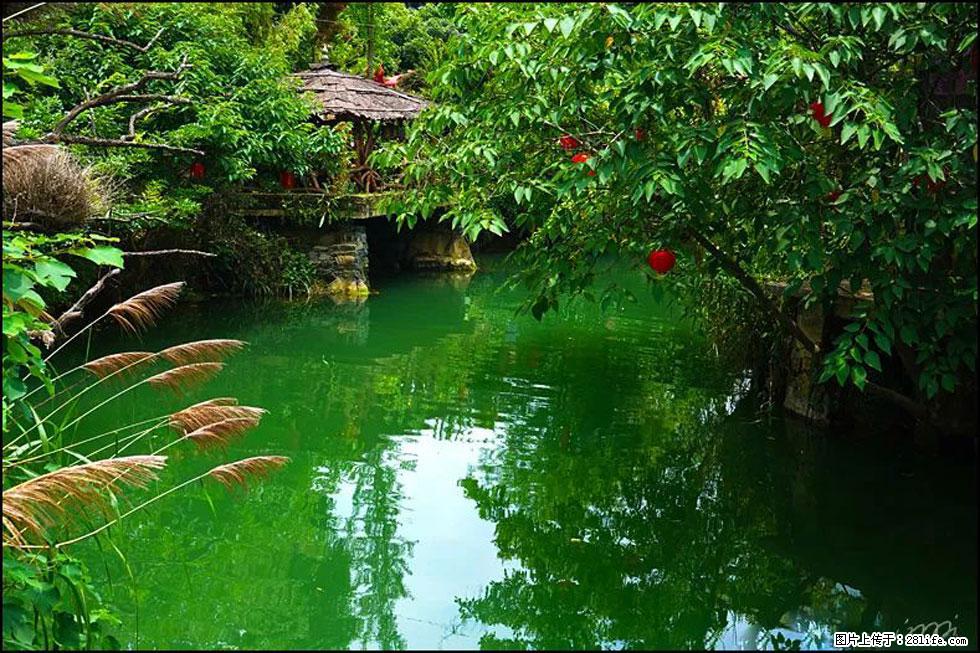 【春天，广西桂林灌阳县向您发出邀请！】如梦似幻莲溪庐 - 游山玩水 - 禹州生活社区 - 禹州28生活网 yuzhou.28life.com