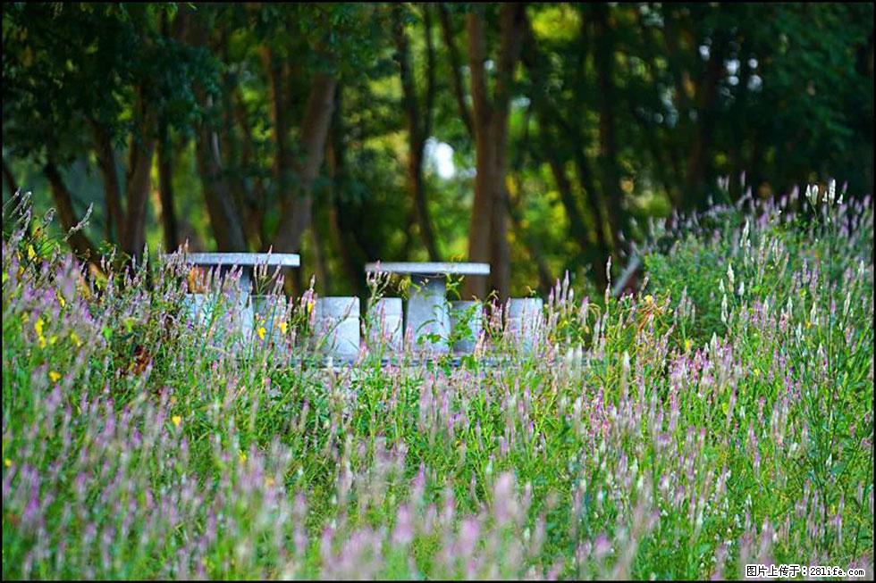 【春天,广西桂林灌阳县向您发出邀请!】熊家寨湿地公园 - 游山玩水 - 禹州生活社区 - 禹州28生活网 yuzhou.28life.com