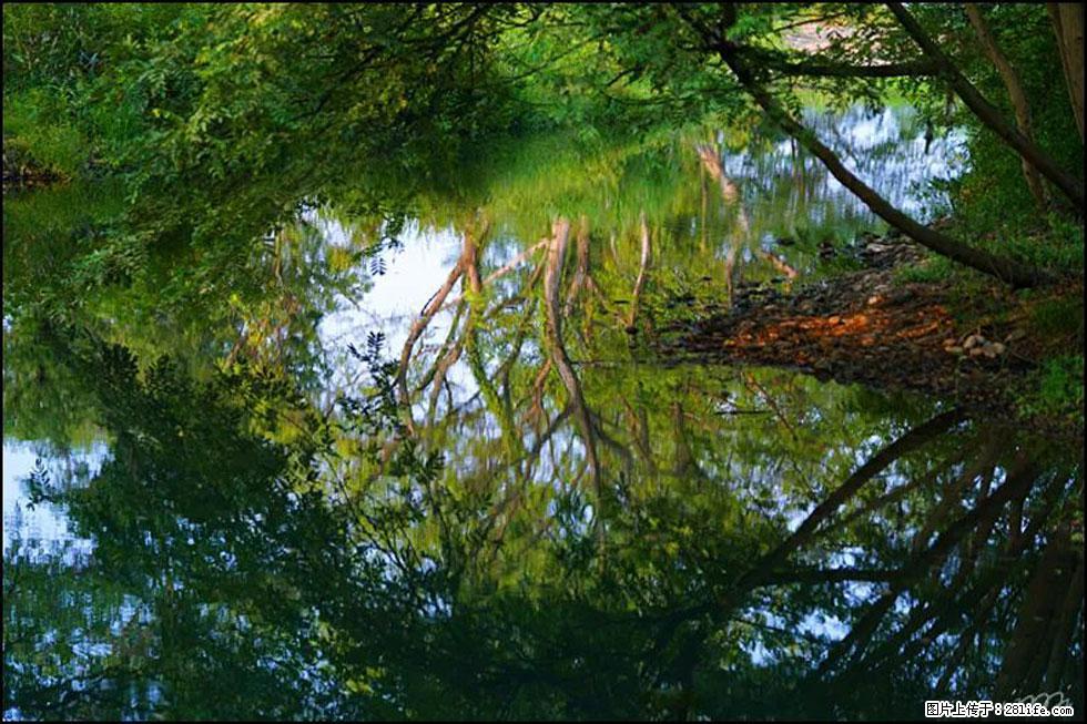 【春天,广西桂林灌阳县向您发出邀请!】熊家寨湿地公园 - 游山玩水 - 禹州生活社区 - 禹州28生活网 yuzhou.28life.com