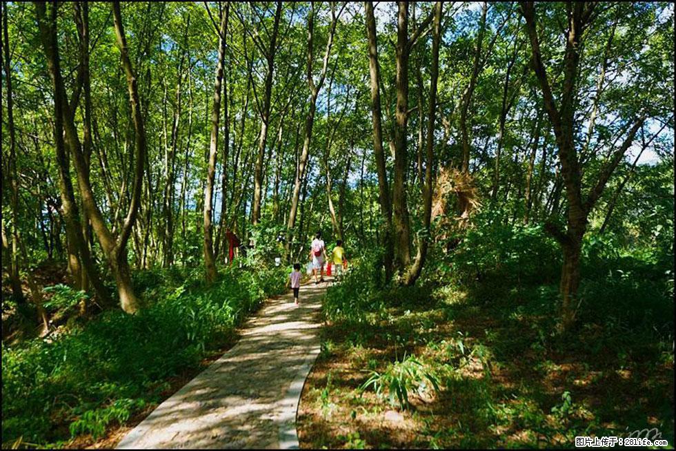 【春天,广西桂林灌阳县向您发出邀请!】熊家寨湿地公园 - 游山玩水 - 禹州生活社区 - 禹州28生活网 yuzhou.28life.com