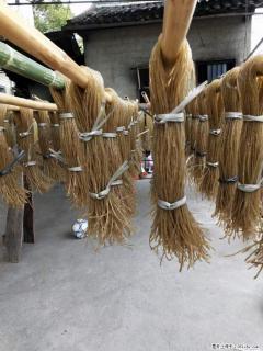 【灌阳正宗红薯粉】美女家里自己做的，干净卫生，假一赔十，价格合理，抢购电话：13737312895 - 禹州28生活网 yuzhou.28life.com