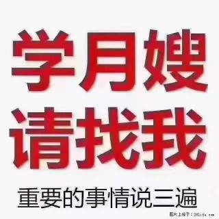 为什么要学习月嫂，育婴师？ - 禹州28生活网 yuzhou.28life.com
