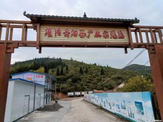 【灌阳县油茶产业示范区】一个有着充实的精神生活的人，对待身外之物自会有一种淡泊的态度 - 禹州28生活网 yuzhou.28life.com