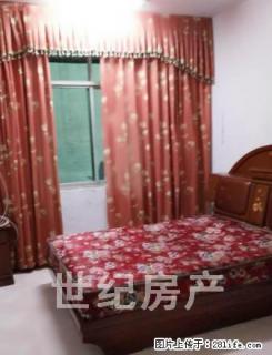 一站家属院所有家具家电齐全 - 禹州28生活网 yuzhou.28life.com