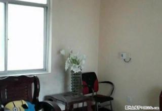 四海通北50米精装两居室拎包入住 - 禹州28生活网 yuzhou.28life.com