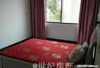 广场钟鼓楼附近精装新房全新家具家电 - 禹州28生活网 yuzhou.28life.com