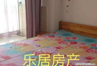 一峰超市附近双气精装标准一室一厅家电齐全出租 - 禹州28生活网 yuzhou.28life.com