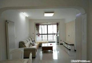 恒达阳光城御园精装二室出租 - 禹州28生活网 yuzhou.28life.com