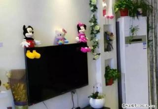 东区尚品1698精装二室家电齐全出租 - 禹州28生活网 yuzhou.28life.com