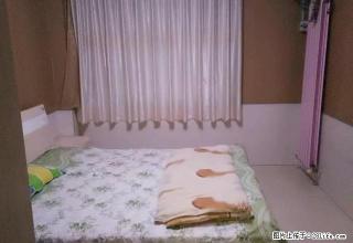 中央豪庭小区精装家电齐全三室出租 - 禹州28生活网 yuzhou.28life.com