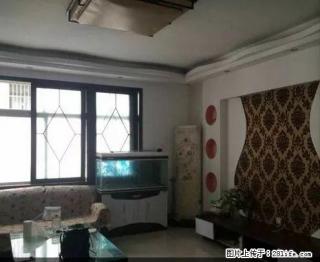 四高附近 简装两室 家具家电齐全 拎包入住 - 禹州28生活网 yuzhou.28life.com