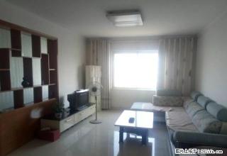 公职B区 中装三室 南北通透 家具家电齐全 拎包入住 - 禹州28生活网 yuzhou.28life.com