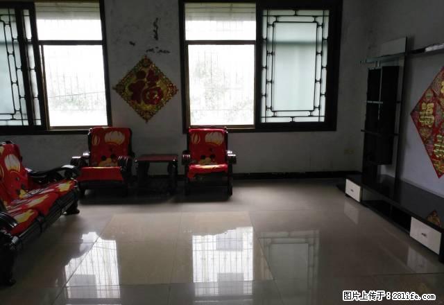 出租新华路拎包入住大两室一厅 - 房屋出租 - 房屋租售 - 禹州分类信息 - 禹州28生活网 yuzhou.28life.com