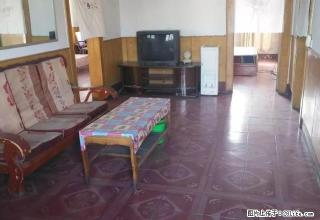 出租大禹像老一站附近拎包入住套房。 - 禹州28生活网 yuzhou.28life.com