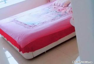 坪山永合园两室一厅一卫 - 禹州28生活网 yuzhou.28life.com