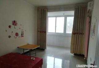 东区学府春天 有家具家电 通暖气 让你冬天不再冷 低房租 - 禹州28生活网 yuzhou.28life.com