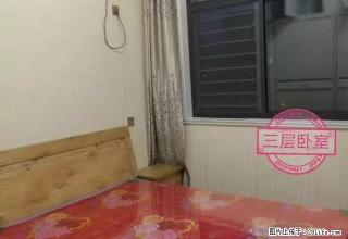 恒达美园精装修1室一厅一厨一卫.全新家具家电.精装修 年付 - 禹州28生活网 yuzhou.28life.com