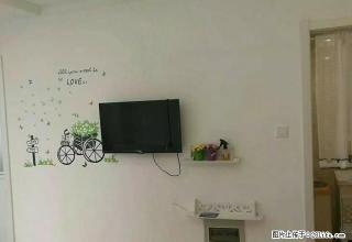 尚品1698 暖气套房家具家电齐全 - 禹州28生活网 yuzhou.28life.com