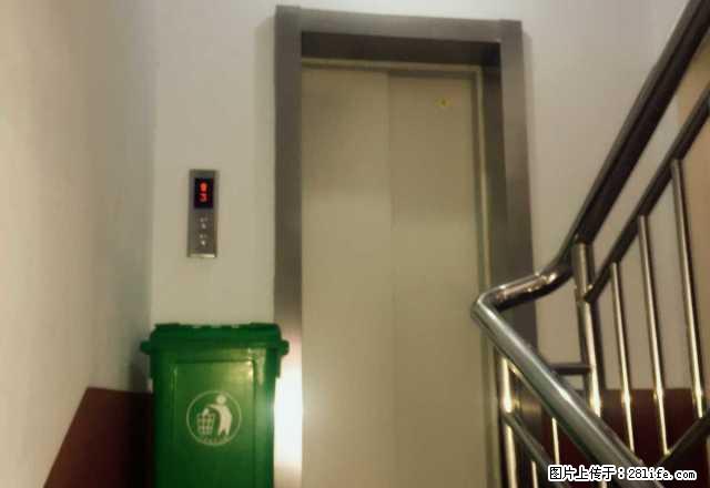 (单间出租)颍川办 明宇公寓 大标间 超干净 电梯房 - 房屋出租 - 房屋租售 - 禹州分类信息 - 禹州28生活网 yuzhou.28life.com