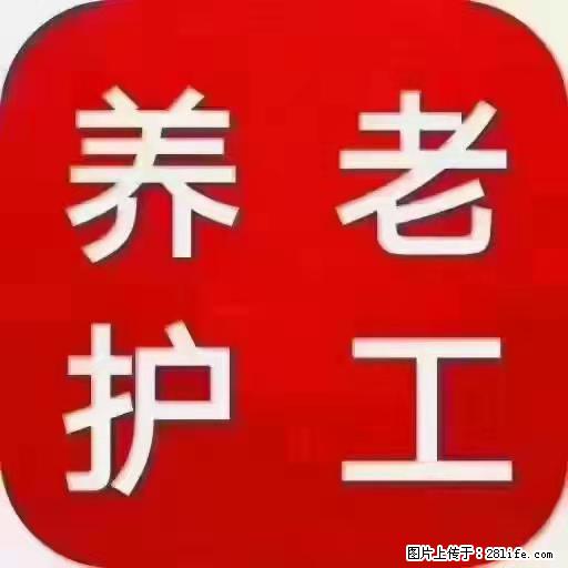 上海国企养老院，星级酒店环境，招聘养老护工 - 职场交流 - 禹州生活社区 - 禹州28生活网 yuzhou.28life.com