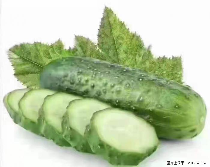 【生活小常识】吃黄瓜的好处 - 生活百科 - 禹州生活社区 - 禹州28生活网 yuzhou.28life.com