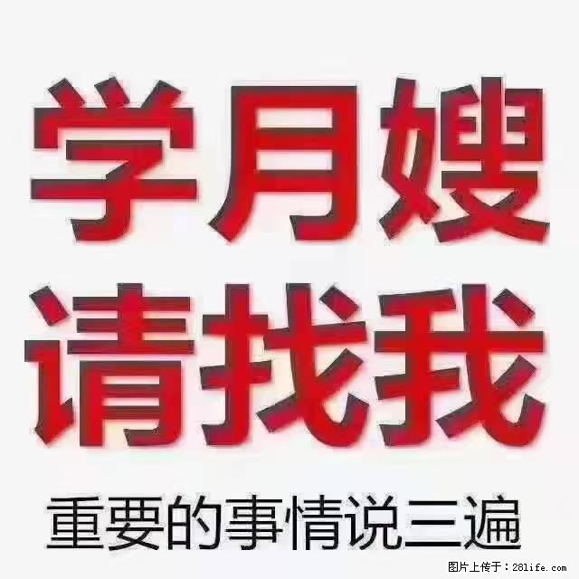 【招聘】月嫂，上海徐汇区 - 职场交流 - 禹州生活社区 - 禹州28生活网 yuzhou.28life.com