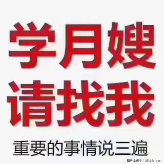 【招聘】月嫂，上海徐汇区 - 禹州28生活网 yuzhou.28life.com