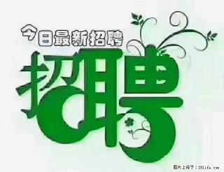 上海青浦区招仓管 - 禹州28生活网 yuzhou.28life.com