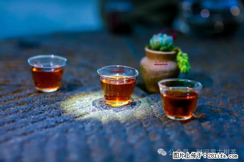 时间果百年古树2025年春红茶 - 购物交流 - 禹州生活社区 - 禹州28生活网 yuzhou.28life.com