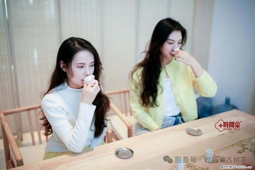 时间果百年古树龙珠普洱生茶 - 购物交流 - 禹州生活社区 - 禹州28生活网 yuzhou.28life.com