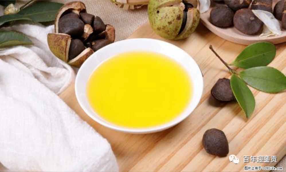 揭秘茶油的5大核心营养成分！被称为人体健康的“守护盾”！ - 禹州生活资讯 - 禹州28生活网 yuzhou.28life.com