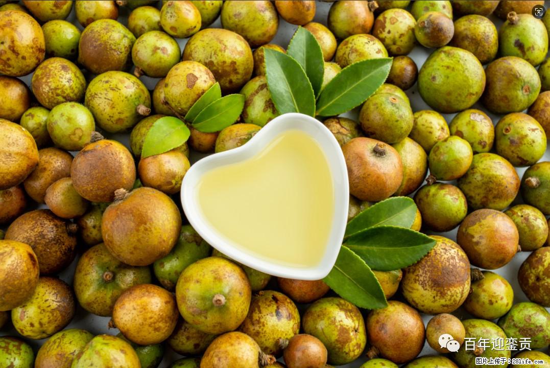 世界没有真相，只有认知，最好的食用油是中国的山茶油！ - 禹州生活资讯 - 禹州28生活网 yuzhou.28life.com