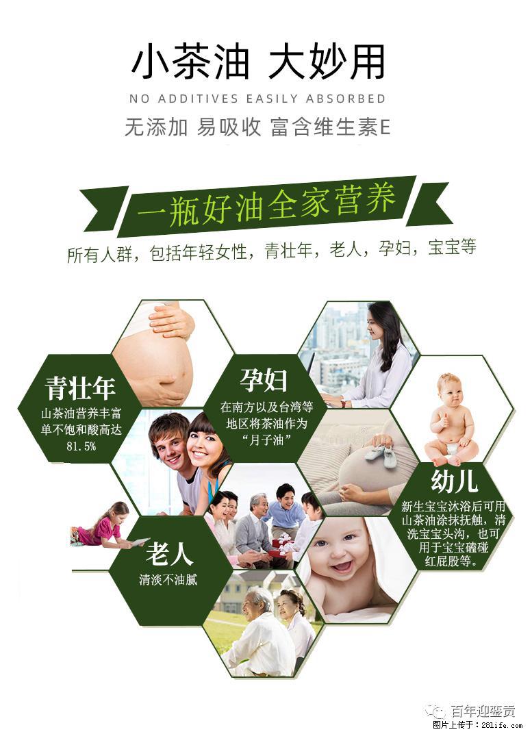 世界没有真相，只有认知，最好的食用油是中国的山茶油！ - 禹州生活资讯 - 禹州28生活网 yuzhou.28life.com