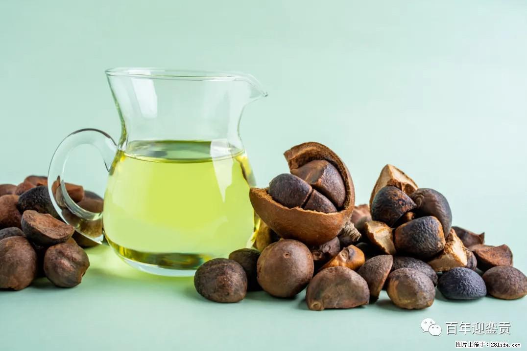 世界没有真相，只有认知，最好的食用油是中国的山茶油！ - 禹州生活资讯 - 禹州28生活网 yuzhou.28life.com