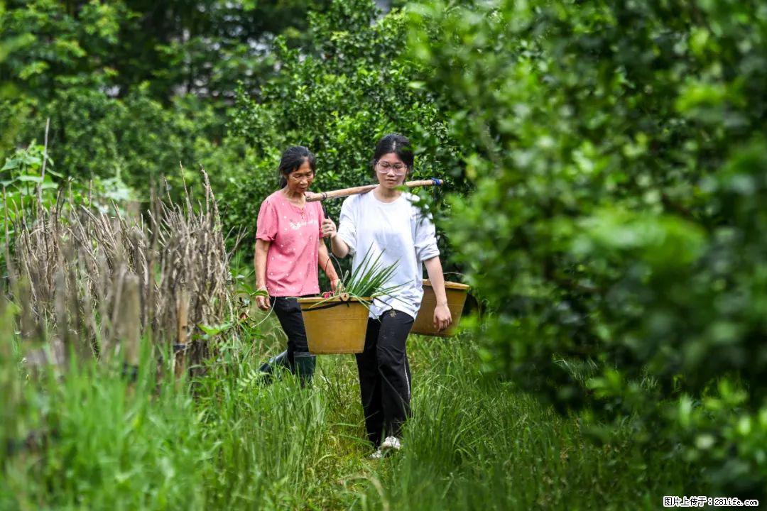 全网追的“扁担女孩”，找了一份暑假工，时薪12元 - 禹州生活资讯 - 禹州28生活网 yuzhou.28life.com