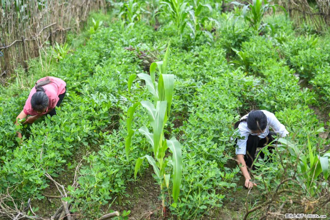 全网追的“扁担女孩”，找了一份暑假工，时薪12元 - 禹州生活资讯 - 禹州28生活网 yuzhou.28life.com
