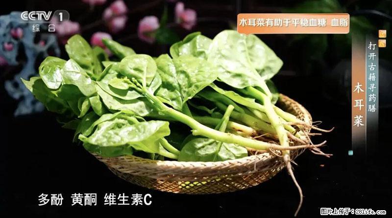 比牛奶补钙还厉害！凉血解毒、稳血糖...这菜冬天必吃，很多人却当草 - 禹州生活资讯 - 禹州28生活网 yuzhou.28life.com